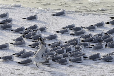 Năm 2014 - Số lượng thiên tai sẽ gia tăng?